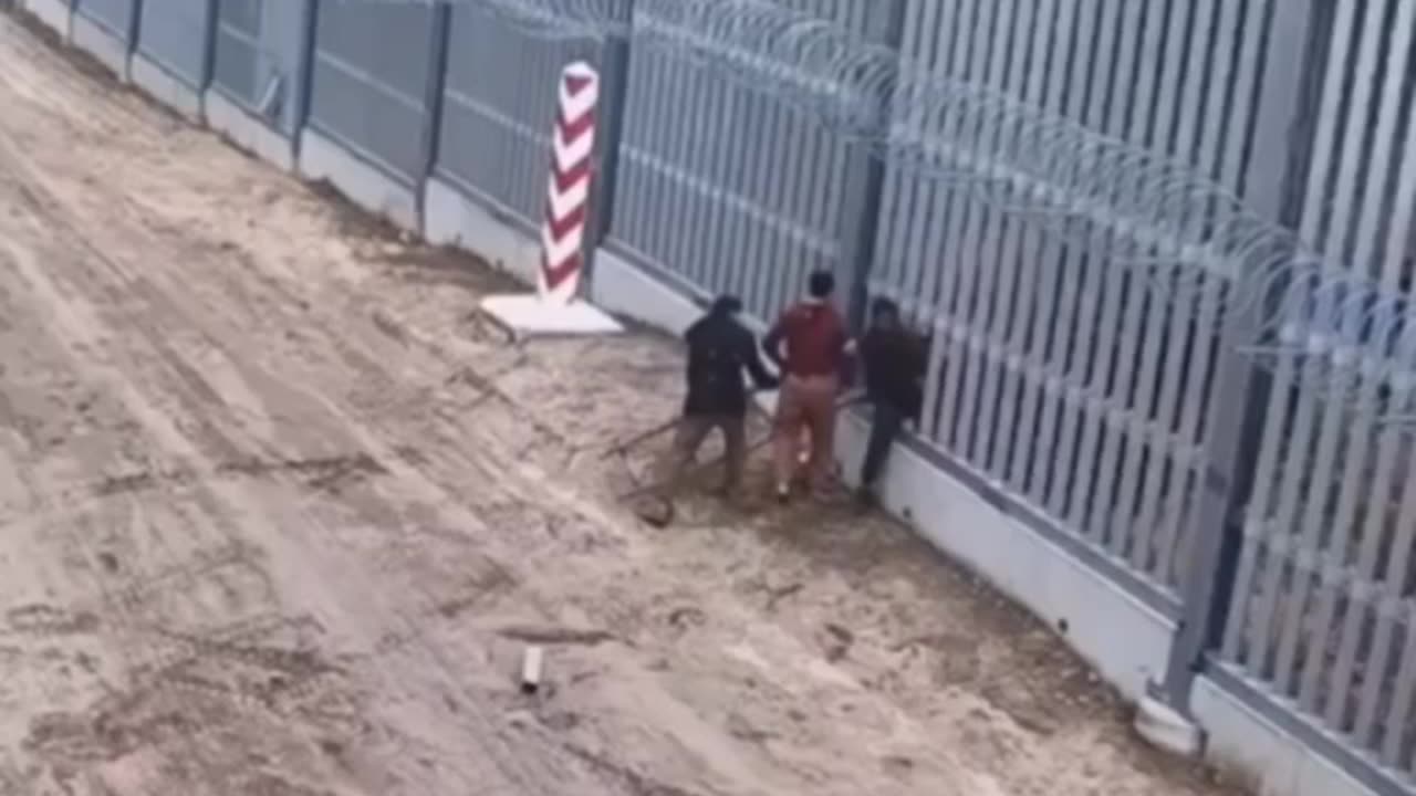 🇵🇱 🇧🇾 Mira cómo Polonia protege su frontera de la invasión de inmigrantes.