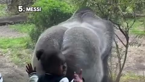 Funny animals😂😂😂