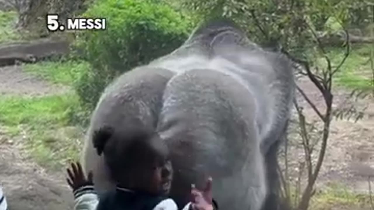 Funny animals๐๐๐