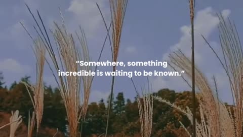 Somewhere, something incredible is waiting to be known.