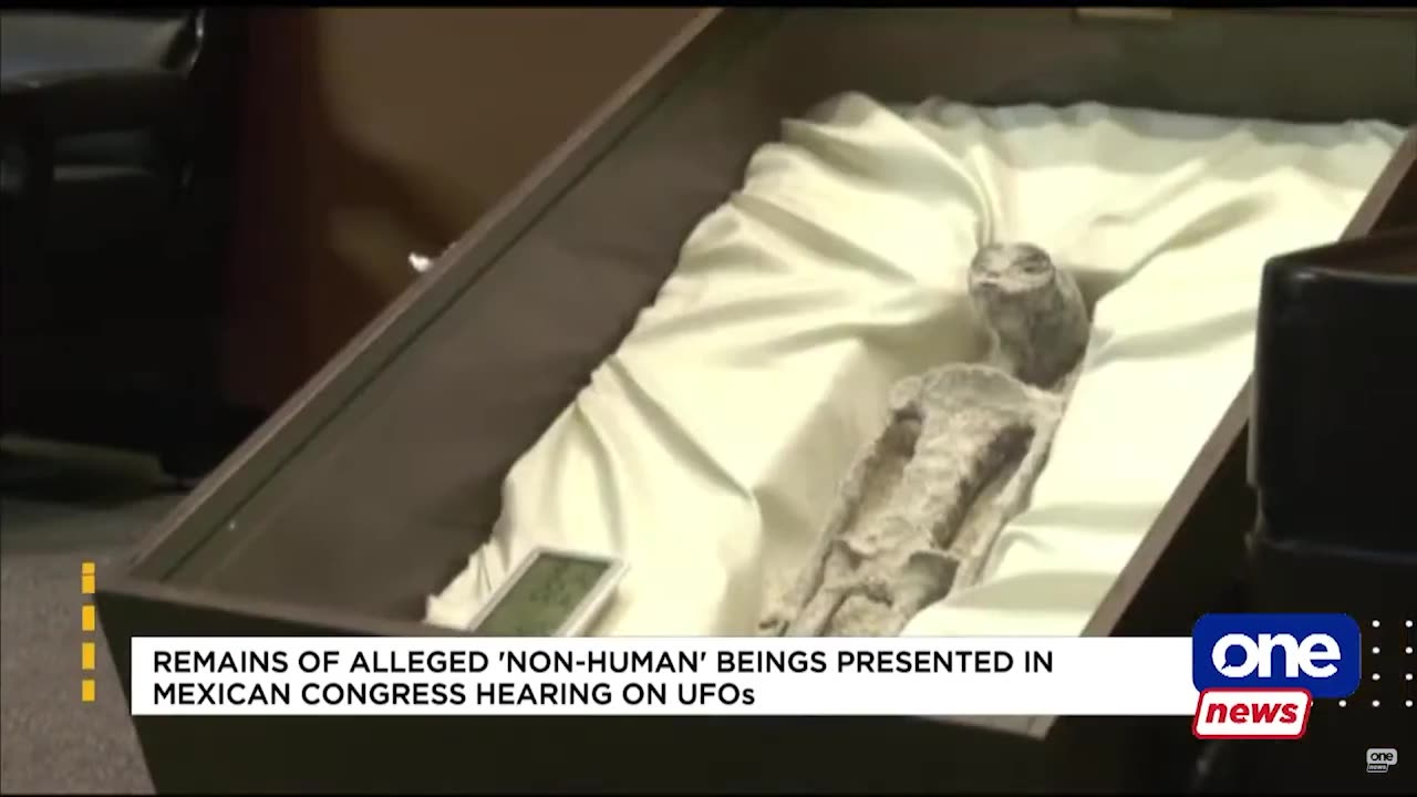 Alleged Alien sighting presented by Journalist