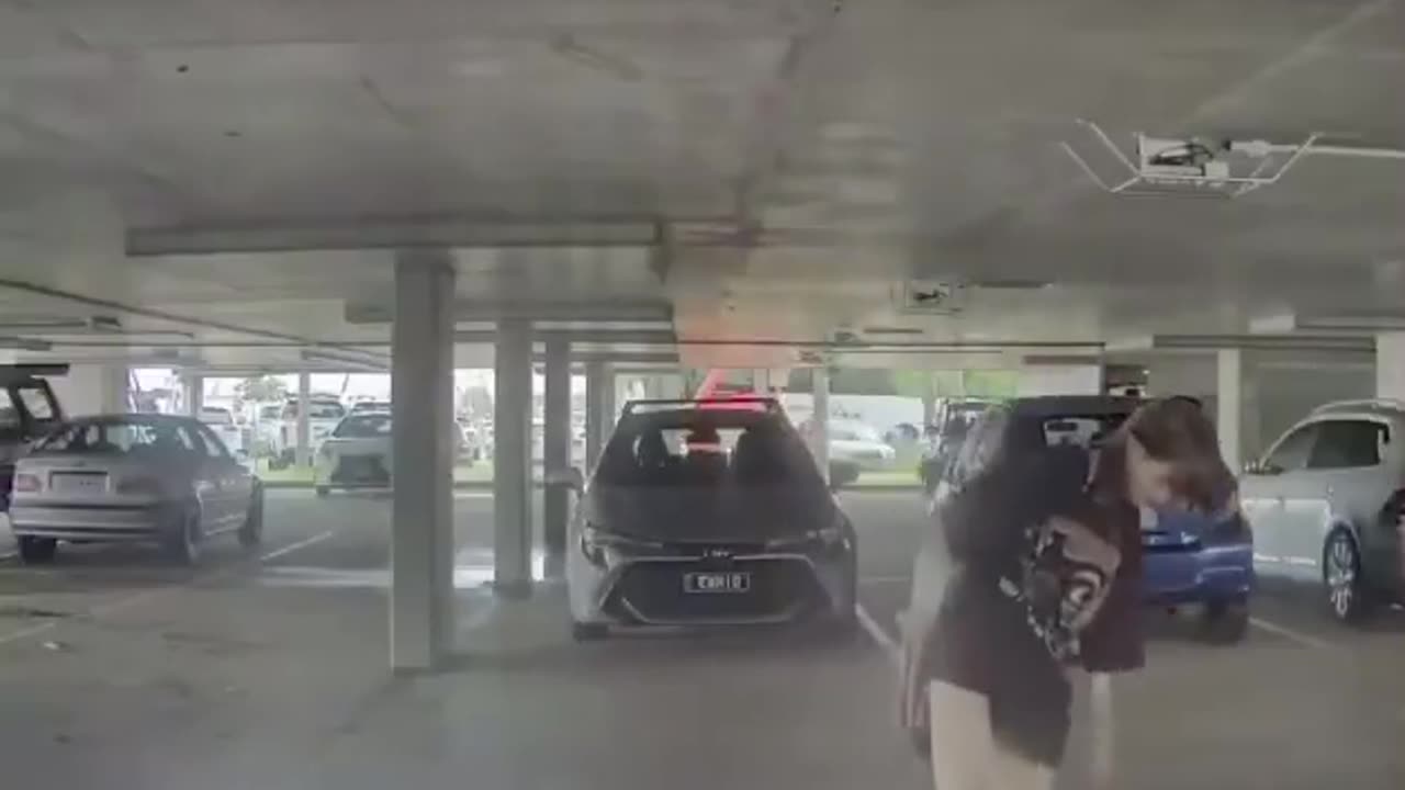 TESLA SENTRY CAM CATCHES DEMOCRAT IN ACTION.