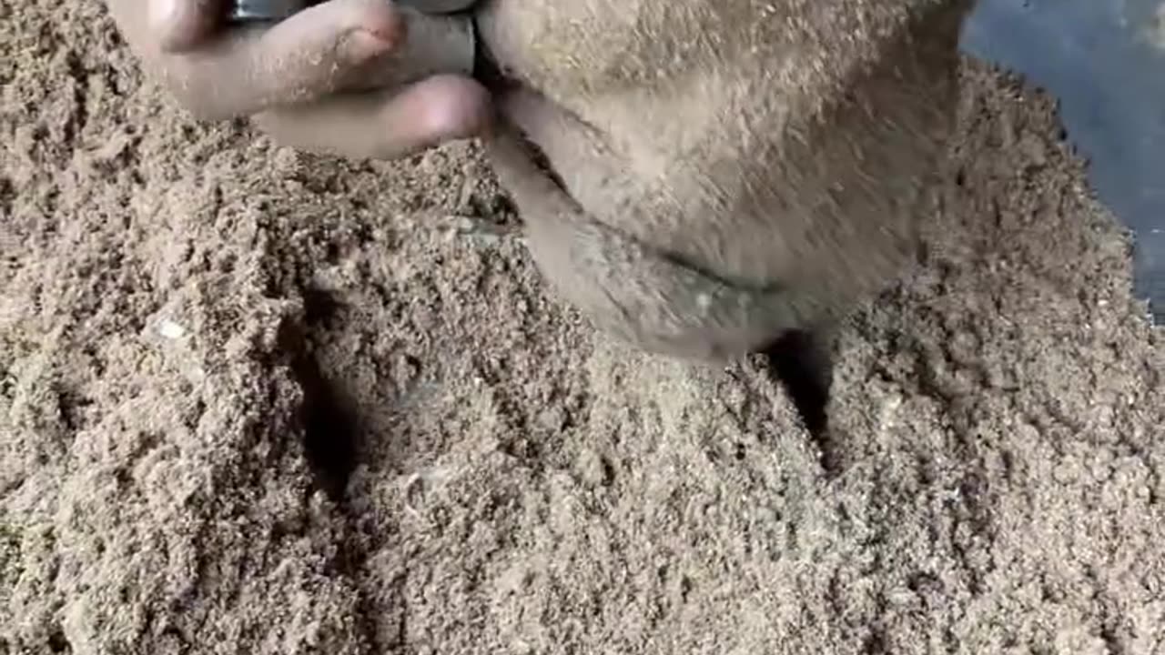 Follow for this type of video...