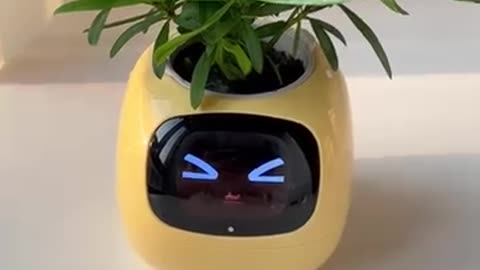 Ivy Smart mini planter