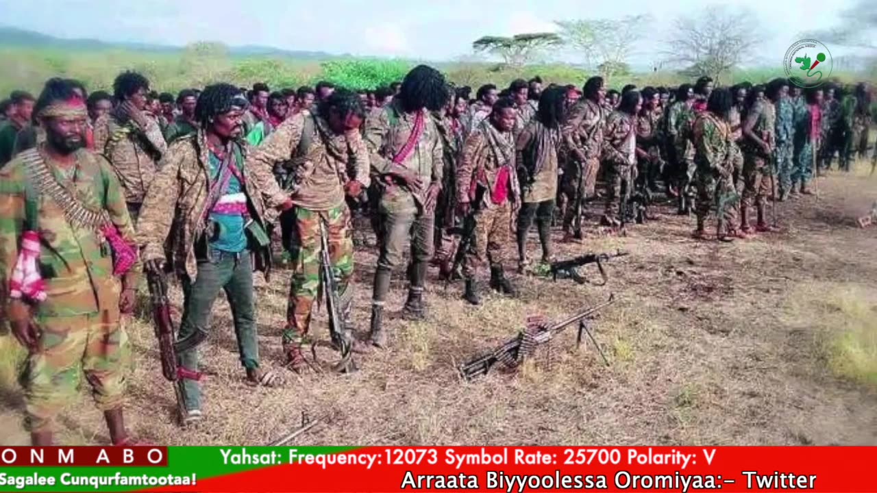 Gabaasa Tarkaanfii ONM-ABO Ebla 6-2025 itti dhiyaadhaa!