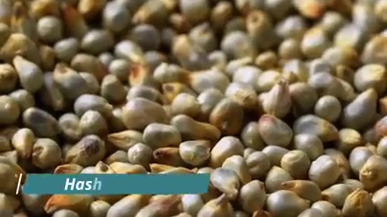 Bajra khane ke Fayde