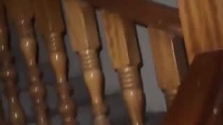 wyd in this situation?