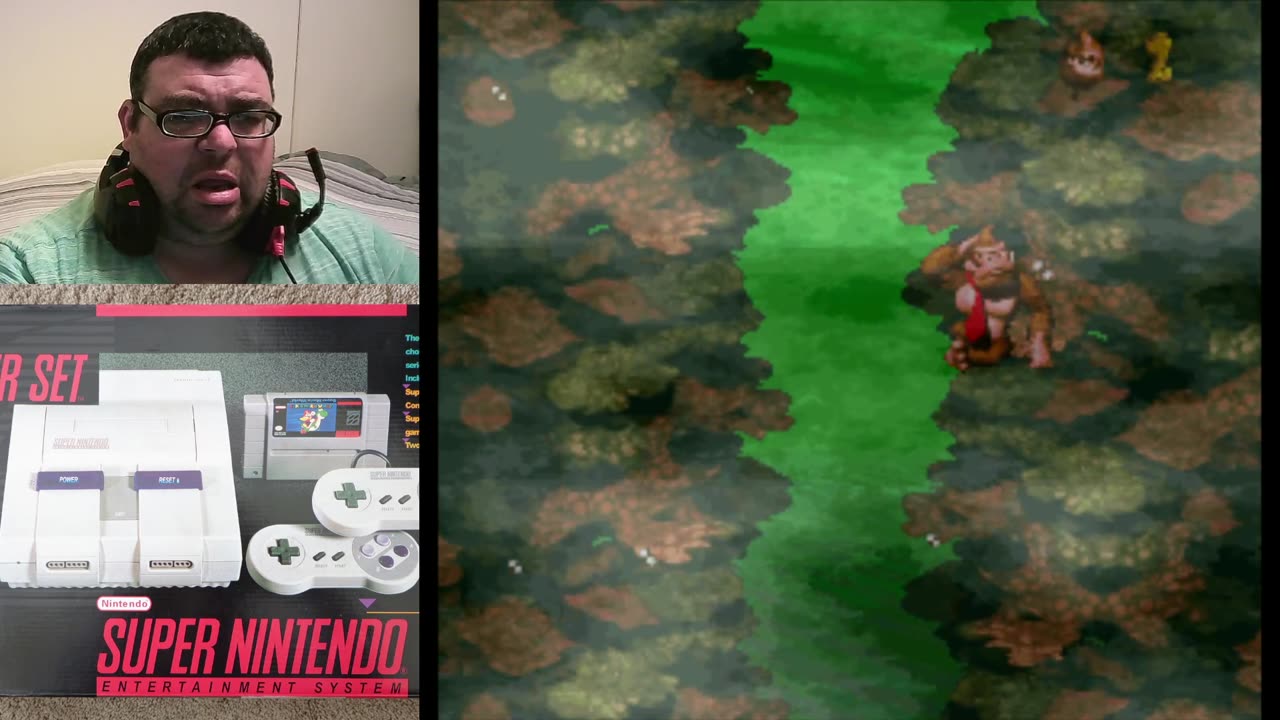 Death Glitch Into The Wall - DKC SNES #jtomally9681 #death #dkc #glitch