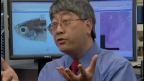 Skin Pigmentation Research Using Zebrafish - Dr. Keith Cheng