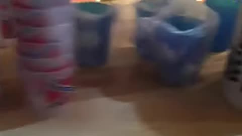 Rebel shots, shots, shots, shots, shots