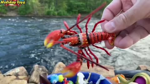 Carry Large Bucket to the River to Contain Aquatic Animals