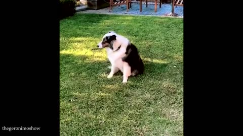 Funny video so funy new video funny🤣😂