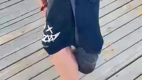 Funny pets