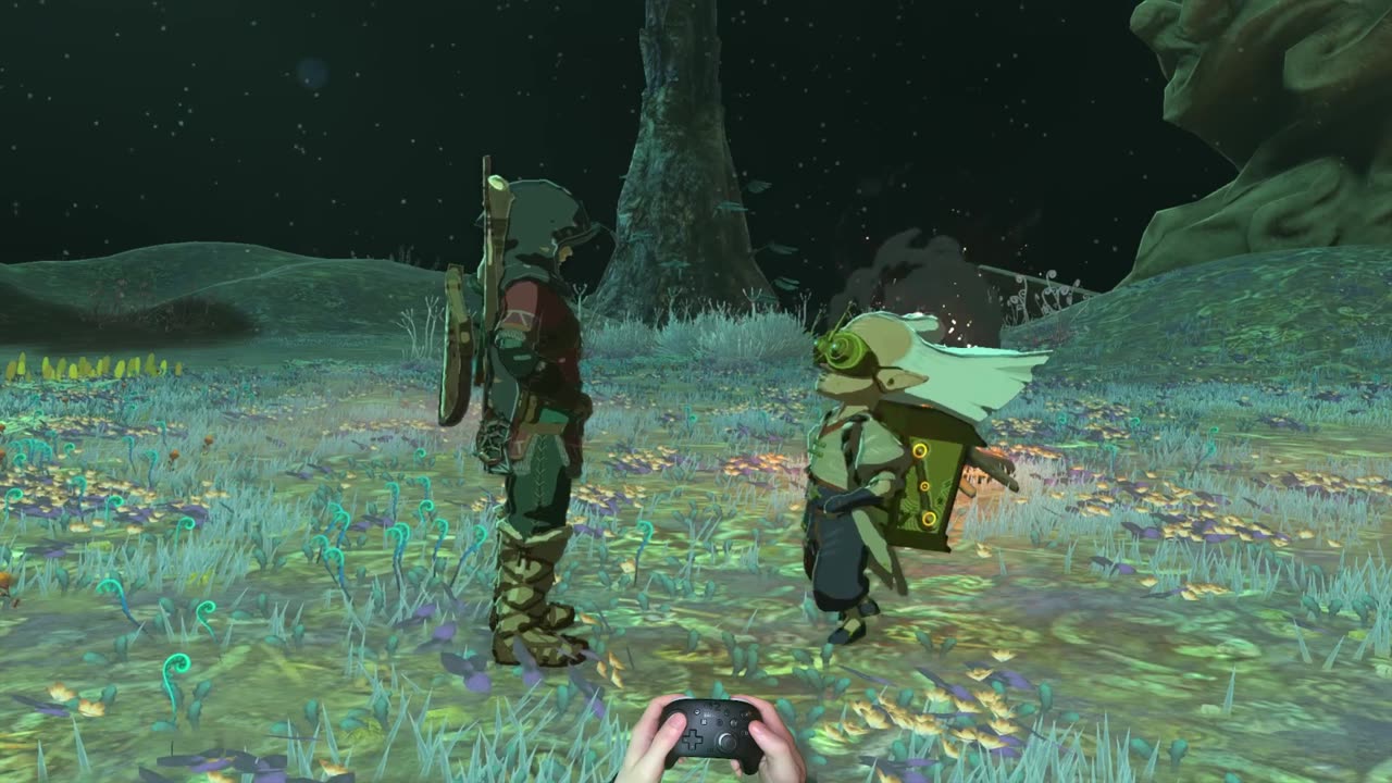 Zelda Tears of the Kingdom Switch 2 Walkthrough Part 2 #zelda