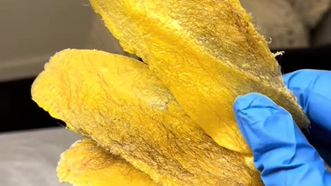 Melting Sexy Smooth Golden Allure Hard Wax in Las Vegas | Scent-Free, Rosin-Free @Desiredskyn