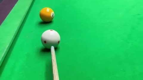 A cat plays a billiards