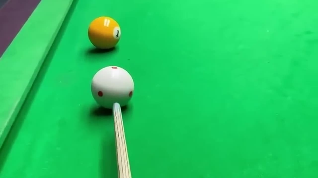 A cat plays a billiards