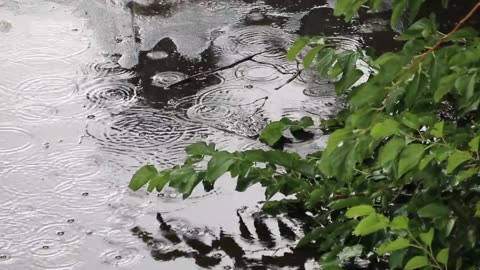 The Secret to CALM Mind with Vidhya Meditation