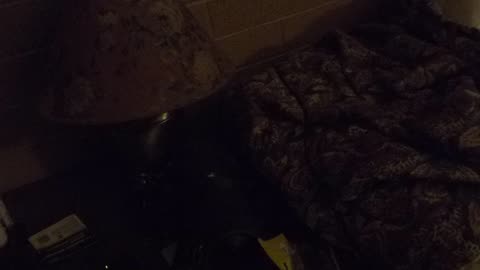 Another brief bedside shot of the hotel, lamp and covers