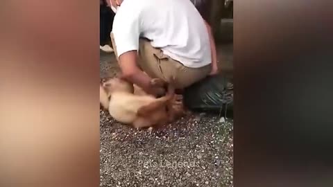 cute pat activities