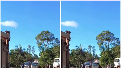 Brazil Balloon Horror: 8 Dead, 13 Injured as Hot Air Balloon Bursts into Flames Mid-Air