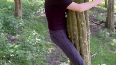 Minge On A Tree