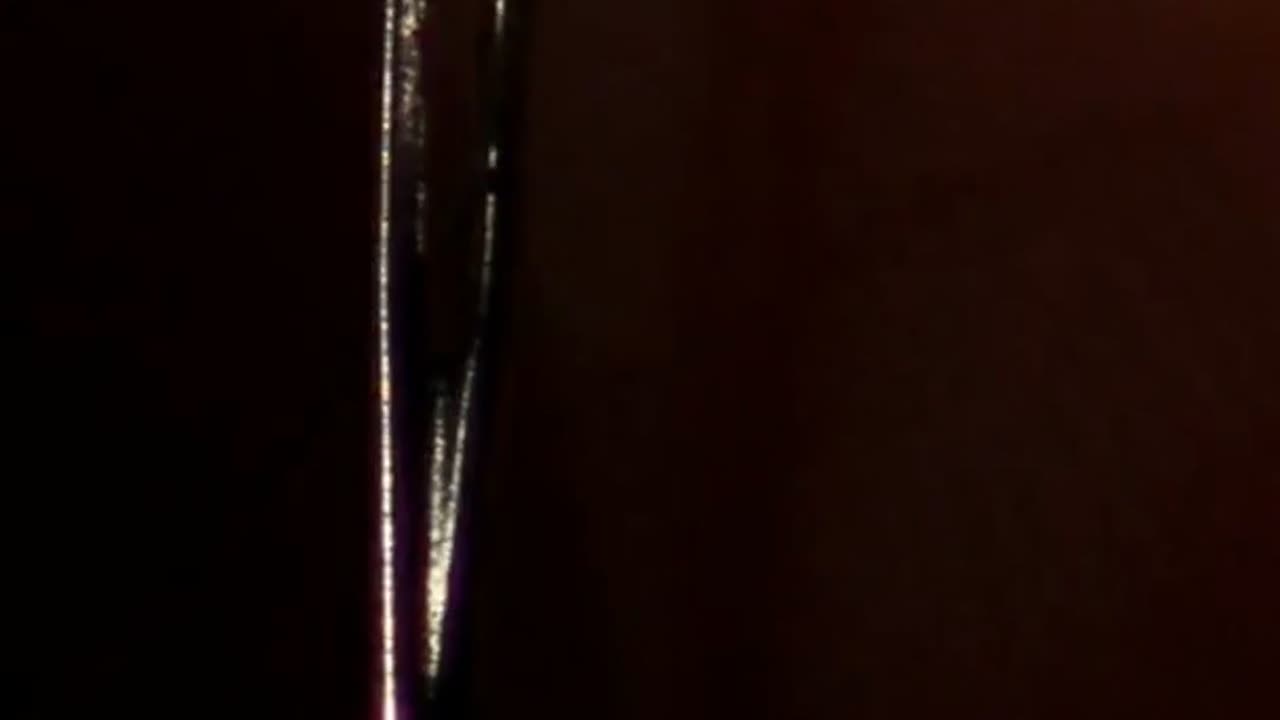 🐻‍❄️ Polar Bear Fur Is TRANSPARENT?! (Mind-Blown!)