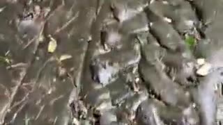 Carved floor in Indonesia.