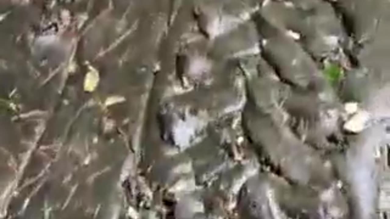 Carved floor in Indonesia.