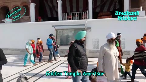 Colorful Fishes In The Holy Pond Of Golden Temple Amritsar