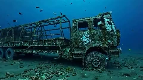 What Do You Know About The Deep Sea.