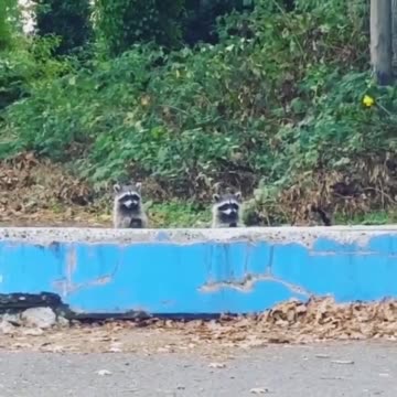 How many you count? 😅