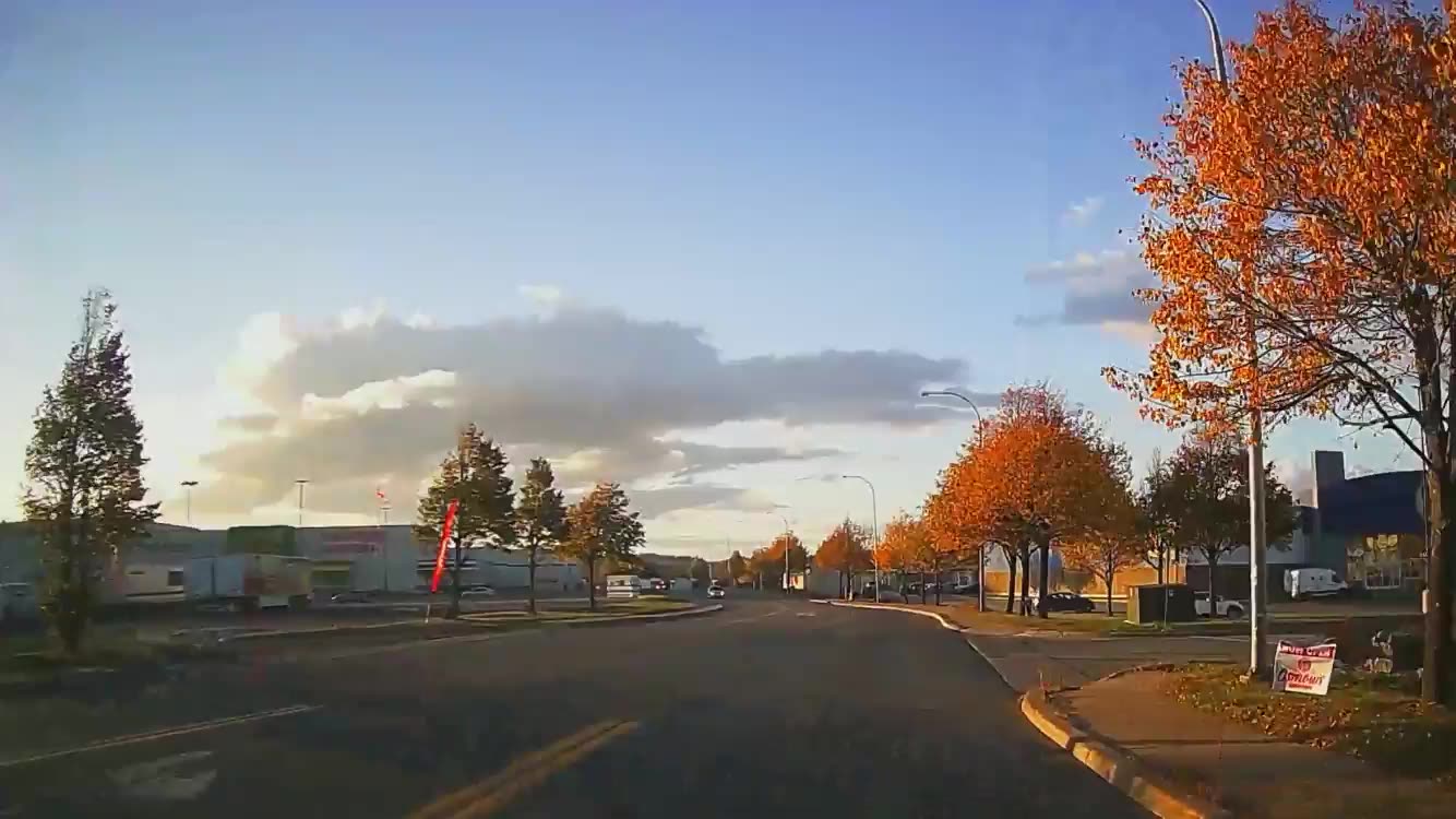 Saint John NB East Pretty Fall Trees