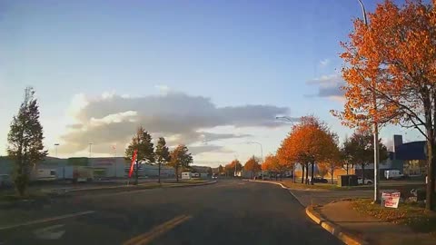 Saint John NB East Pretty Fall Trees