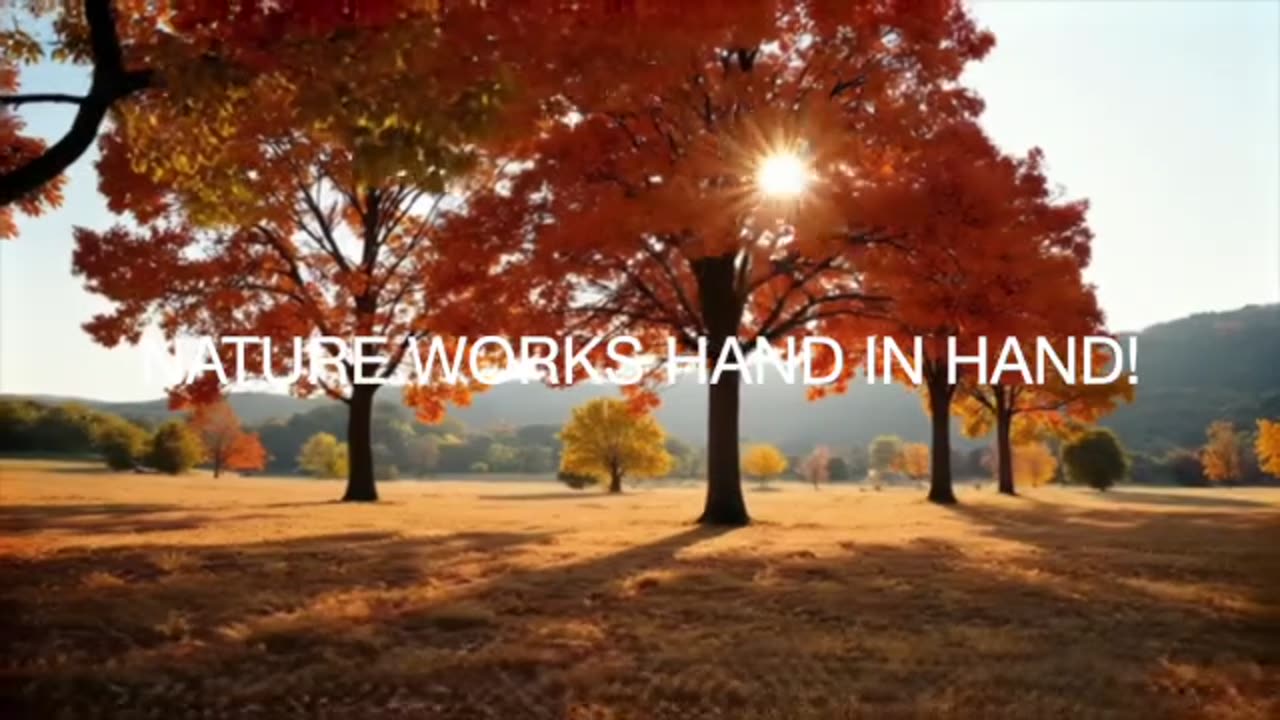 We Work Together Karaoke