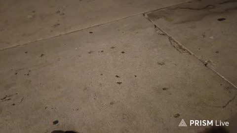 09/14/25 Q45 VOD: "cheers"