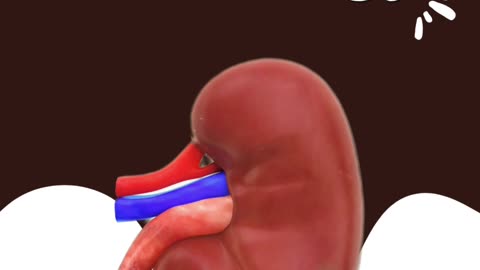 Need a top urologist in Madurai?