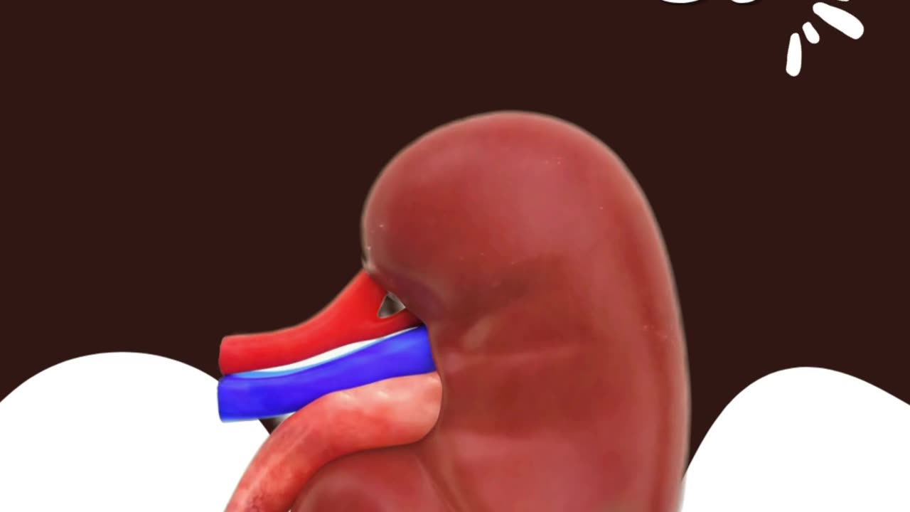 Need a top urologist in Madurai?