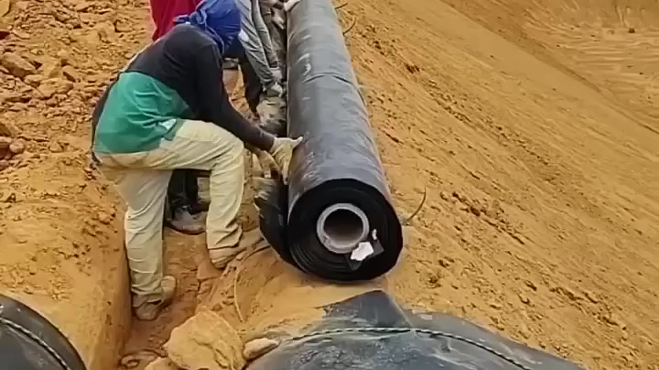RESPECT SHORT