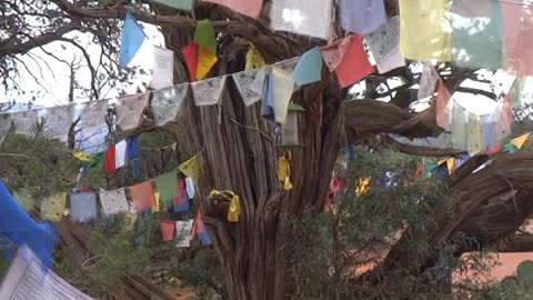 Intershifting ft. Keith Martini