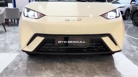 2025 BYD Seagull First Impressions