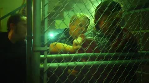 My Super Psycho Sweet 16 2009