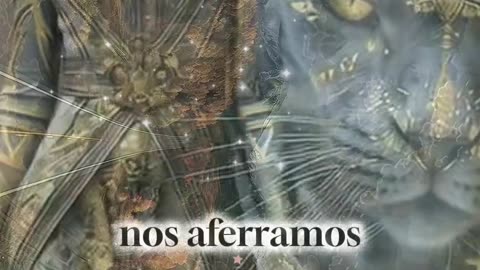 REFLEXIÓN 💫 🤍 💫 🤍
