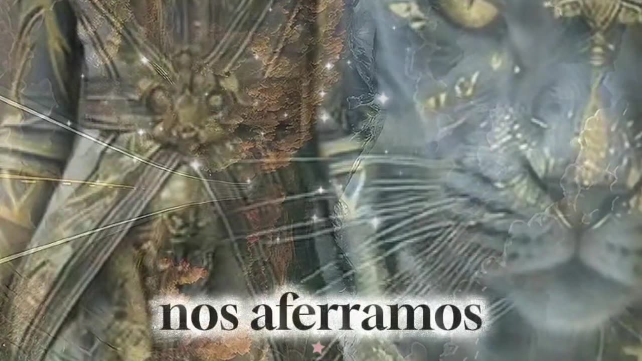 REFLEXIÓN 💫 🤍 💫 🤍
