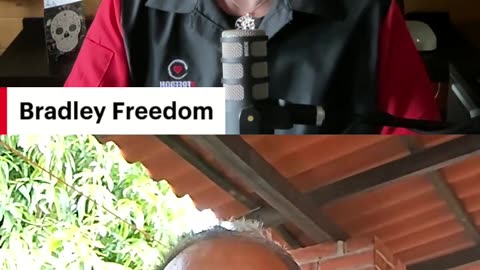 Lets Talk FREEDOM!