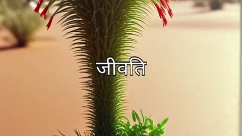 Ai cartoon story || cartoon video