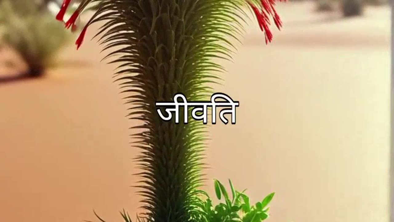 Ai cartoon story || cartoon video