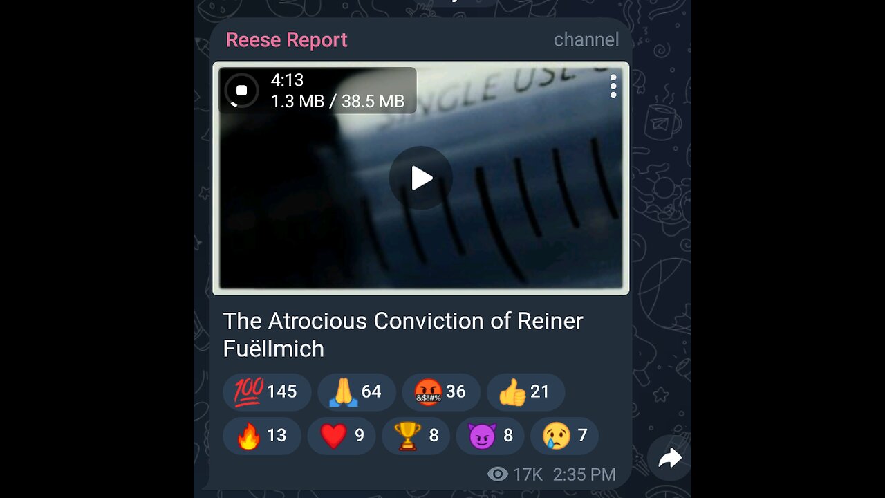 Greg Reese talks Reiner Fuëllmich Conviction