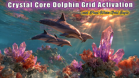 Crystal Core Dolphin Grid Activation 🕉 The Whales Are Gathering 🕉 Great Acceleration is upon us!! 🕉