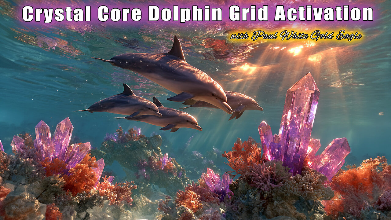 Crystal Core Dolphin Grid Activation 🕉 The Whales Are Gathering 🕉 Great Acceleration is upon us!! 🕉